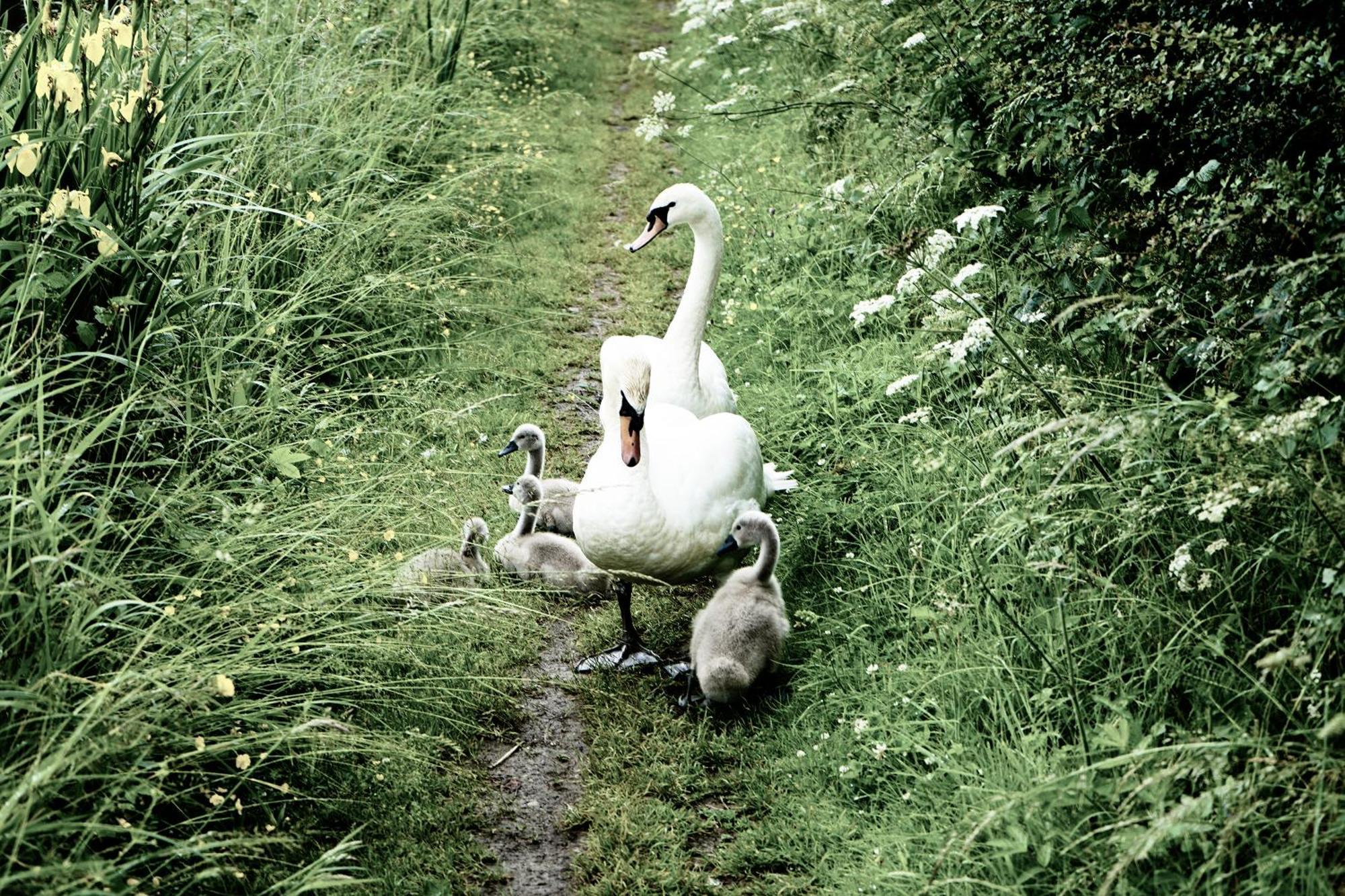 Duck Terrace With Gym Duckling Stays Kibworth Harcourt Exteriör bild